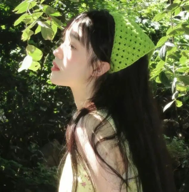 树袋熊