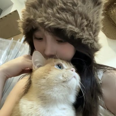 史迪奇头